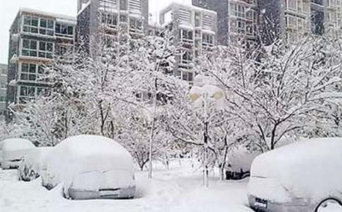 �P��ѩ�����ģ�ѩ��_550��