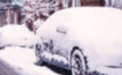 ѩ�ĵ�����12ƪ