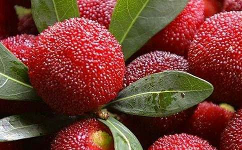 ���l�ė�÷���ľ��x12ƪ