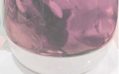 ���y���B����������550��