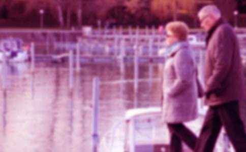 �����Ĳˈ@�����ģ����x21ƪ��