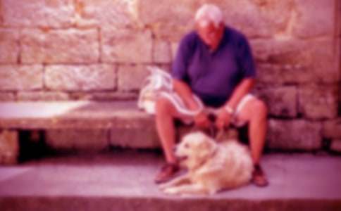 �ҵ�ľ������ӛ�����ģ����x11ƪ��