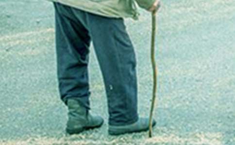 ����������ĳ���