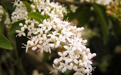 �茑ҹ����ă�������600�֣�ͨ��23ƪ��