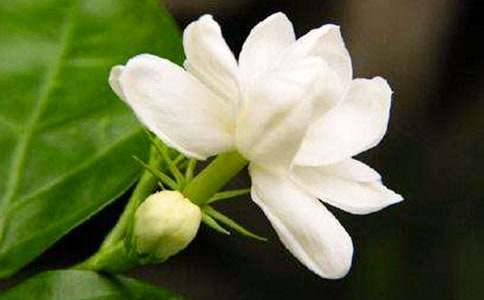 һ��ҹ����