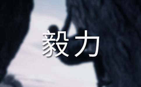 �����c������С�W����