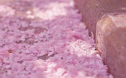 ΢�L���^�ѻ����һ����