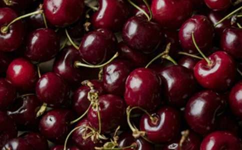 家鄉的櫻桃樹作文600字(精選10篇)