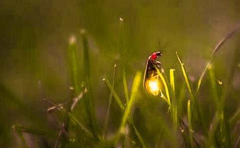 ����ͯԒ���£�Ξ���x����