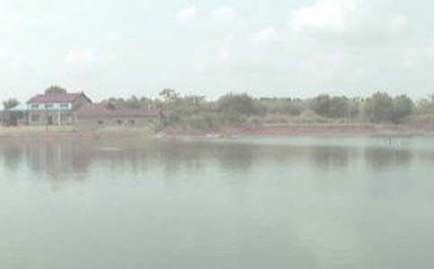 ���~�����꼉����