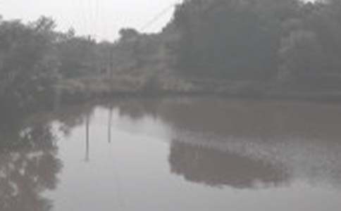 �������l���~������