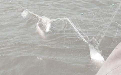 ��ꖺ�߅�a�O�Wɢ�ģ�ͨ��8ƪ��