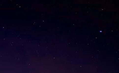 �����á���������600��3ƪ