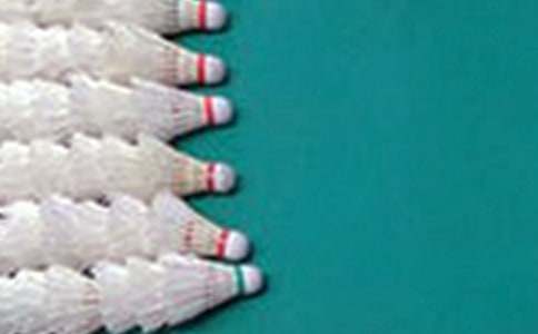 我的課余生活打羽毛球作文300字范文