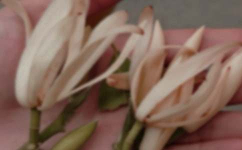 �����������m��