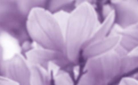 �V���m���_����400�֣�ͨ��13ƪ��