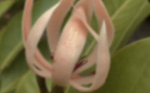 �^�����m��������