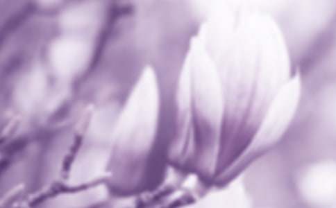 ԭ�����꼉�������m��