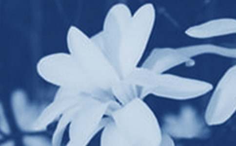 ��ϲ�g���m������500��