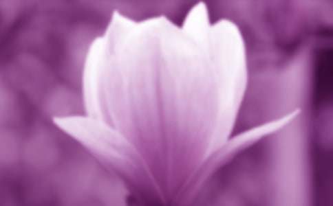 �����m����������ƪ