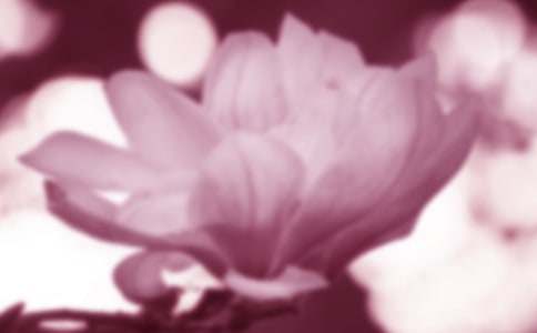 �Ґ����m��400������