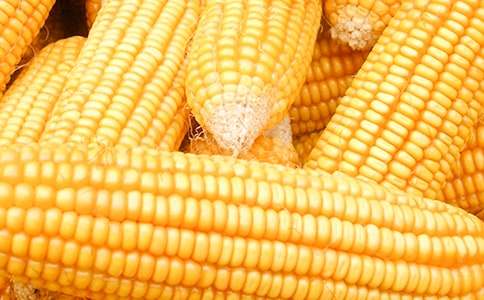 �����L⏵�ͯԒ����