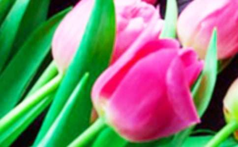 �������㻨չ����700��