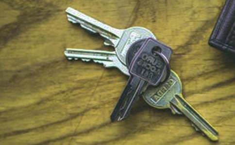 �L����耳׳�������