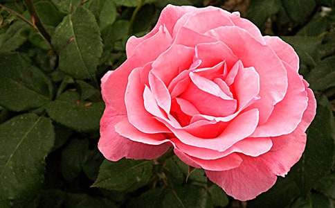 һ�����_�����¼�����600��