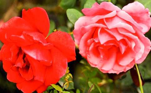 �¼�������������꼉����300��