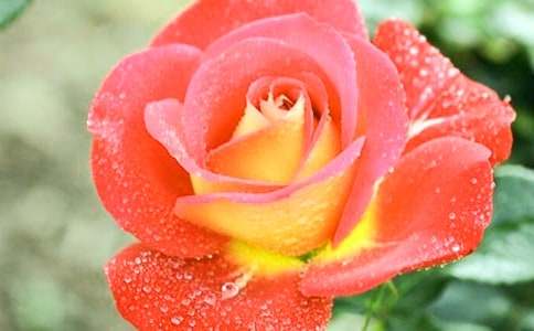 �¼�������700��