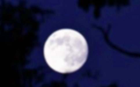 月圓可憐嬋娟影800字作文(通用19篇)