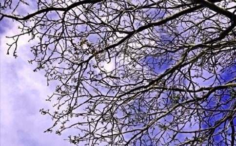 個性早安寄語匯總110句精選