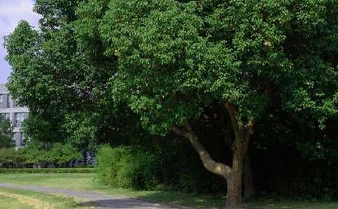 常用美好的早安問候語語錄摘錄32條