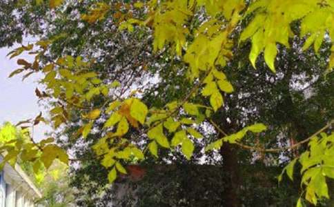 ���õ��簲�����Z�Z�ժ�41�l