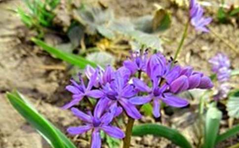 ������Ψ�����簲�����Z���ŅR��50�l