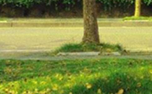 �°��簲�����Z�Z�