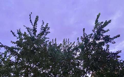 ���Ђ����簲�����R��105��