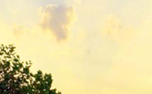 �簲�����Zͨ��15ƪ