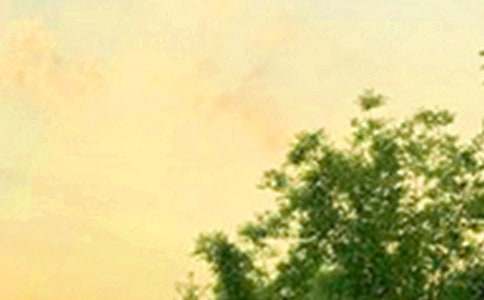 �������簲�����R��160�侫�x