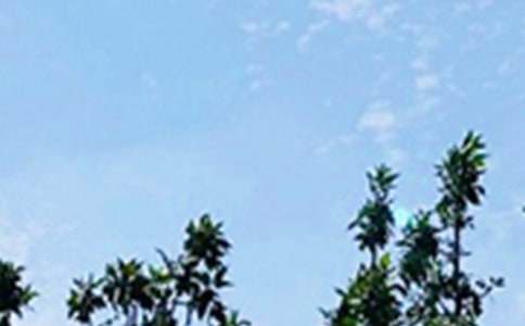 �簲,̫ꖳ�������