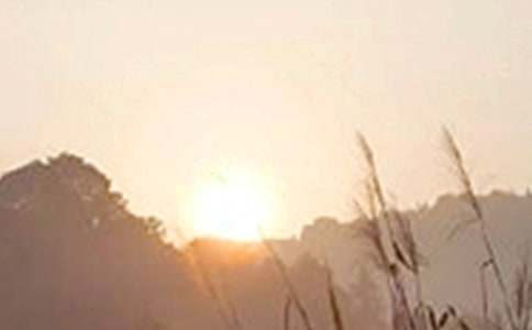 �峿�簲���s���Z