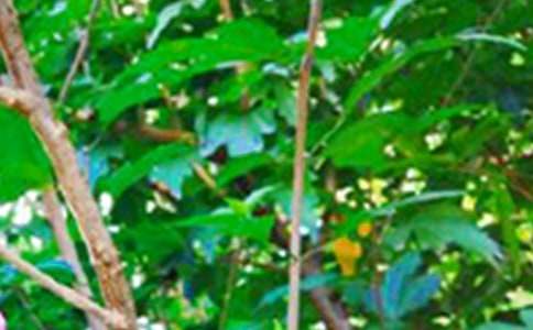 早安簡短溫暖寄語