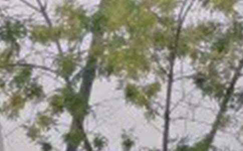 �簲��־���Ժ���