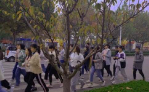 早操的作文300字三篇