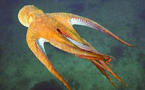 ���~�ҹ���ͯԒ����2ƪ