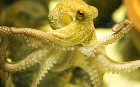 С���~�ݎ����ķ���