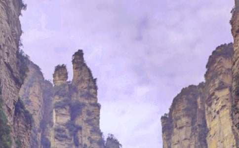 �Ώ��ҽ��������