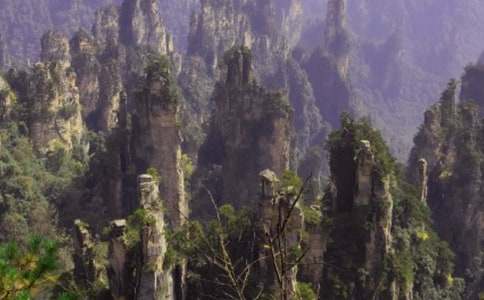 ���ҽ��ɽ����4ƪ