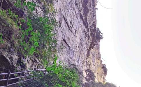 游張家界天門山小學優秀作文500字(精選32篇)